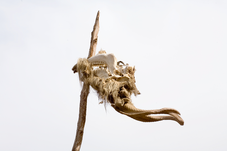 Over Time 1, 2006